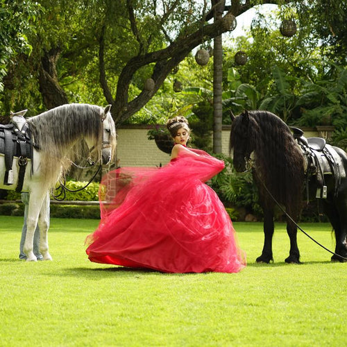 Quinceañera Gowns