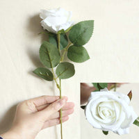 a person holding a white rose in their hand