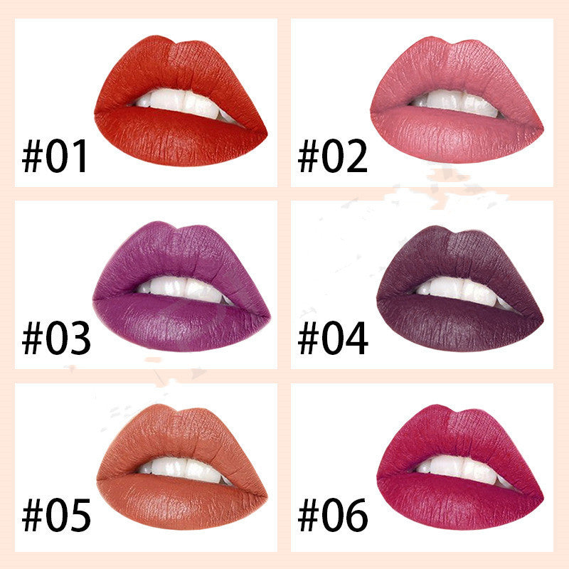 6 Colors Luxury Platinum Waterproof Matte Long Lasting Makeup Lipstick Luxurious Weddings