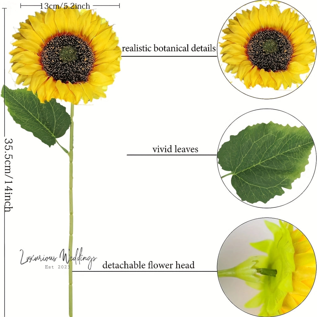 a diagram of the parts of a sunflower