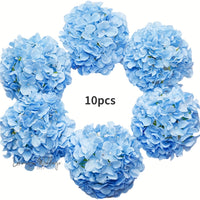 a group of blue flowers arranged in a circle