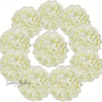 a bunch of white flowers arranged in a circle