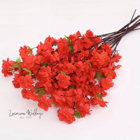 a bunch of red flowers on a white surface