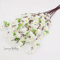 a bunch of white flowers sitting on top of a table