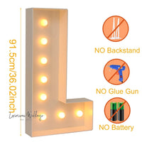 LED Light Frame Box for Events - 91.5CM Giant Size Luxurious Weddings