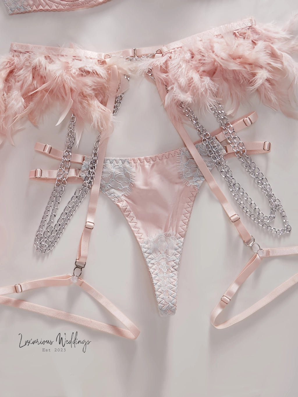 a pink bra and panties with feathers on them
