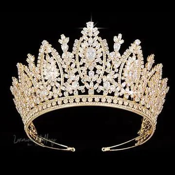 a tiara is shown on a black background
