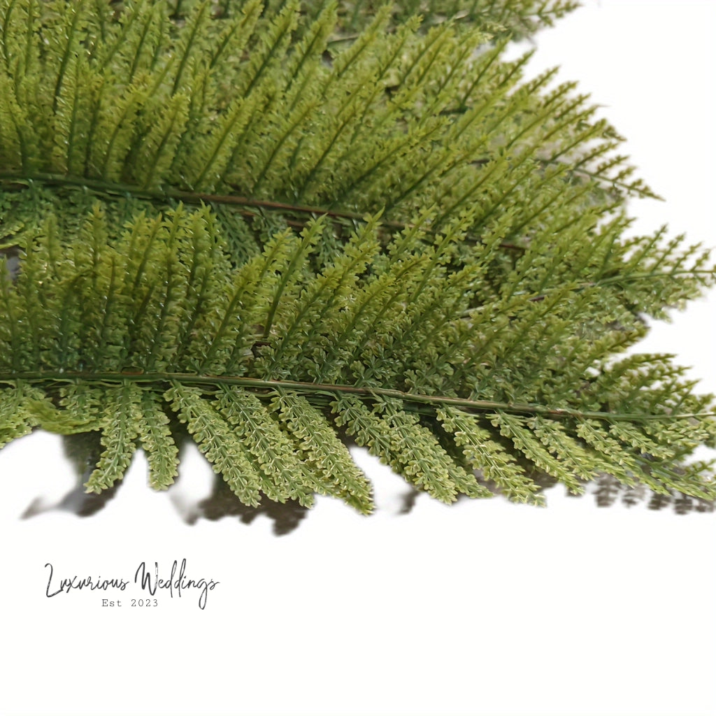 a close up of a green leaf on a white background