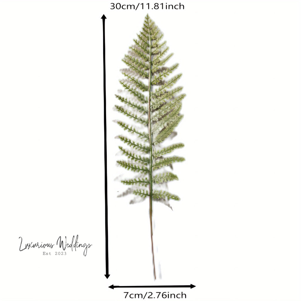 a fern tree with measurements for the height of it