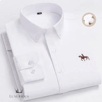 mens business shirt product photo