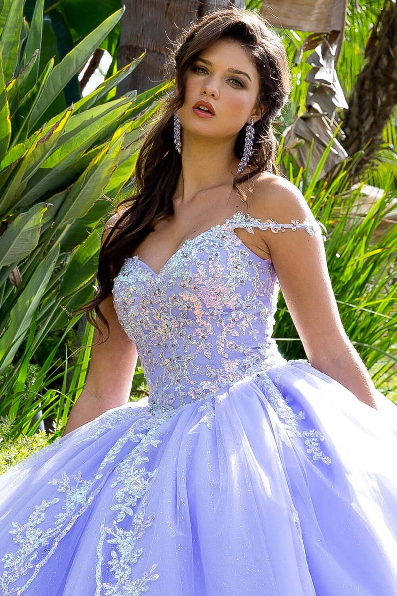 Stunning Sequined Quince Dress Quinceanera dress Luxurious Weddings
