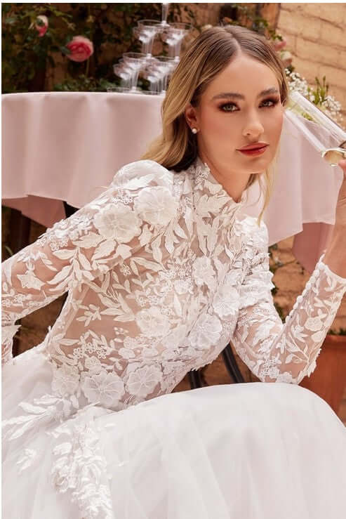 The Enchanting Long Sleeve Lace Wedding Ball Gown Wedding Dress Luxurious Weddings
