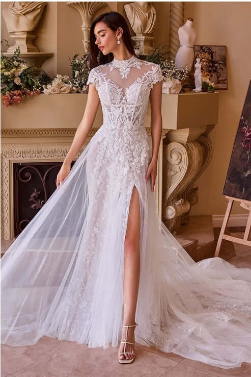 Ethereal Elegance: Lace & Tulle Short Sleeve Wedding Gown