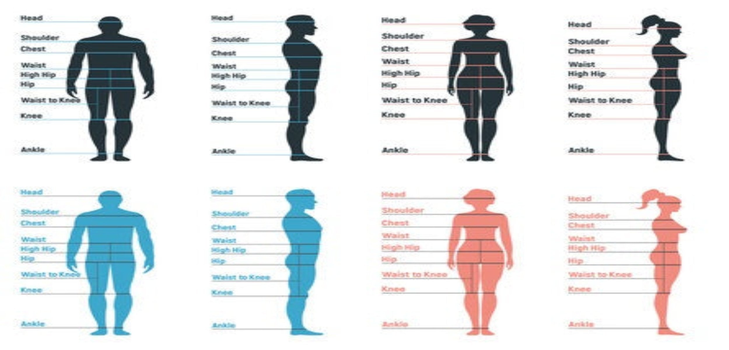 sizing guide 