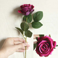 a person is holding a pink and purple rose