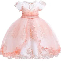 Beaded Embroidered Girls Dress Luxurious Weddings