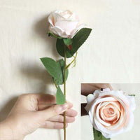 a person holding a pink and white rose