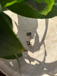 Tapawhā Pāua Gold Earrings