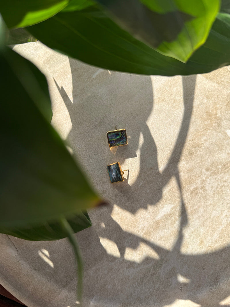 Tapawhā Pāua Gold Earrings