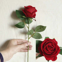 a person holding a red rose in their hand