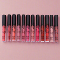 Lipgloss 12er Set Flüssiger Lippenstift
