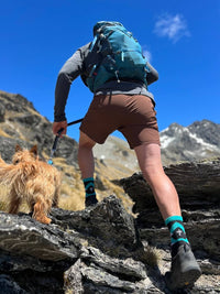 Organic Cotton Lite Crew Sock - Chevron Strike