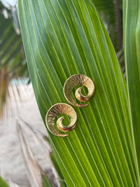 Ngā Ripo o te Moana Gold Bundle - Limited Edition