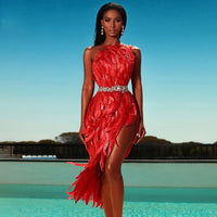 Stylish High Waist Feather Design Red Sequins Dress