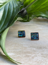 Tapawhā Pāua Gold Earrings