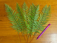 Faux Fern Leaves Luxurious Weddings