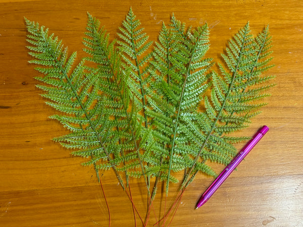 Faux Fern Leaves