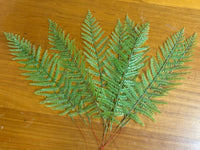 Faux Fern Leaves