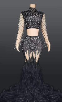 Elegant Bodycon 2pc Set Women's Feather Rhinestone Evening Dress Evening Dress Luxurious Weddings