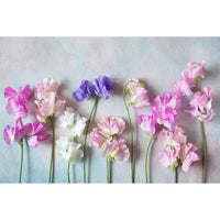 Flower Wooden Wall Product Photography Backdrops for all Special Events Luxurious Weddings