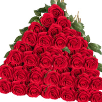 a triangle shaped arrangement of red roses