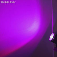 Rotating Disco Spot Party Lights Luxurious Weddings