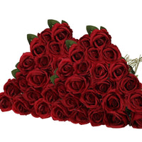 a bunch of red roses laying on top of each other