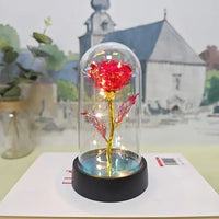 a red rose in a glass dome on a table