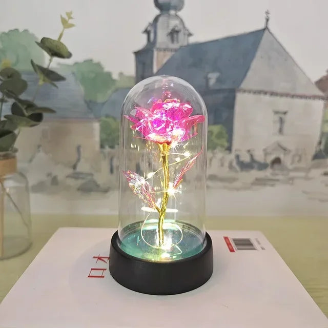 a pink rose in a glass dome on a table