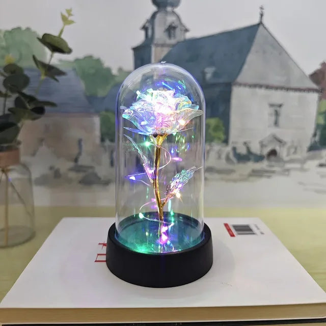 a flower in a glass dome on a table