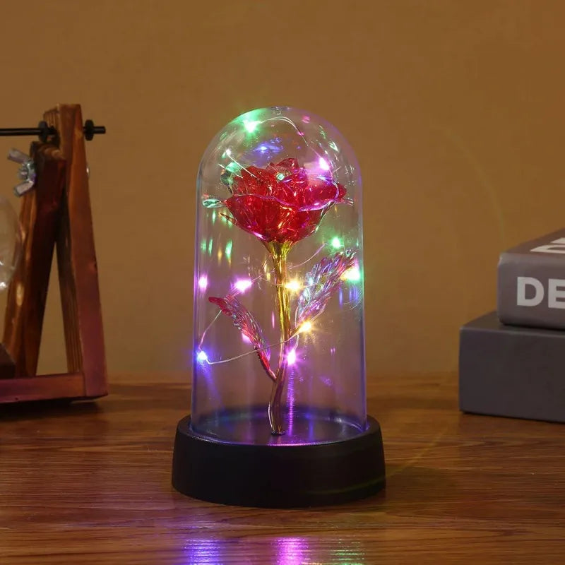 a red rose in a glass dome with lights