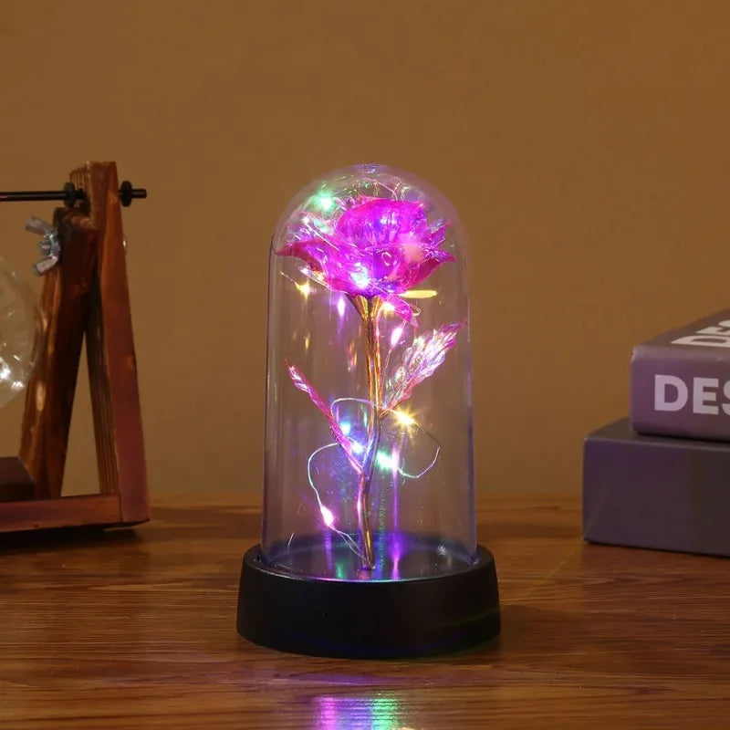 a purple flower in a glass dome with lights