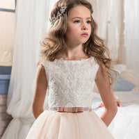 Children's Wedding Dress Dress Lace Puff Princess Dress