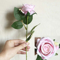 a person is holding a pink rose in their hand